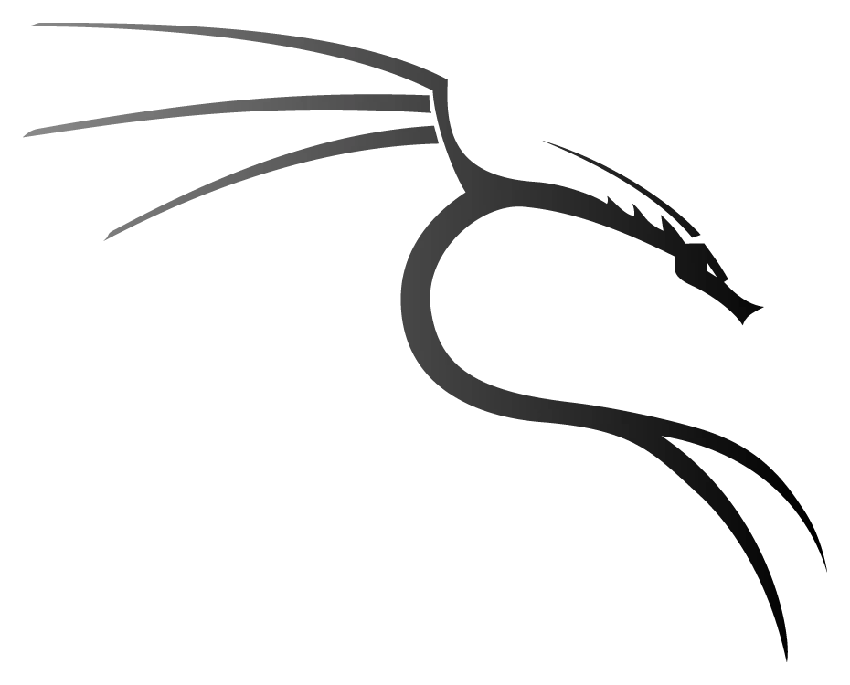 Kali Linux VDS